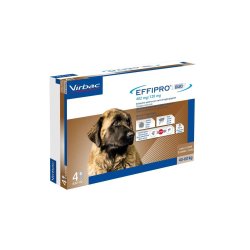 Effipro Duo cane 40-60 kg 4 pipette
