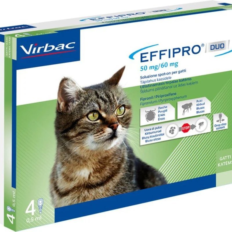 Effipro Duo gatto 4 pipette