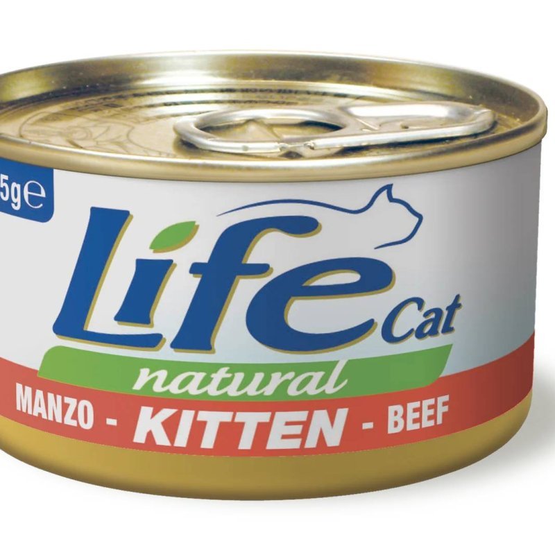 Life Cat Kitten Manzo 85g umido gatto