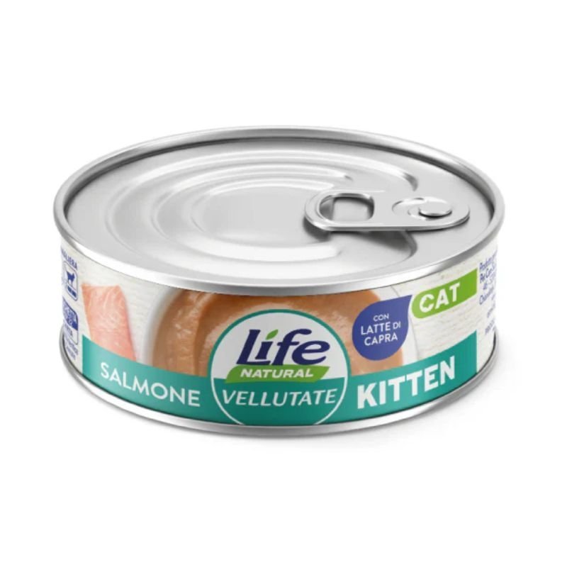 Life Cat Vellutata kitten Salmone 70g umido gatto