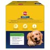 Dentastix Large +25Kg BigPack 42pz (1,62kg)