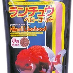 Hikari Lionhead Mini 100g pellet affondanti per pesci rossi a crescita della testa
