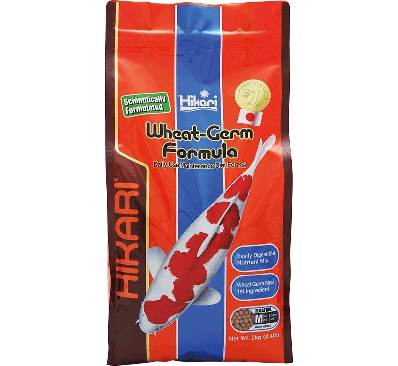 Hikari Goldfish Wheat-Germ Mini 160g pellet con germe di grano per pesci rossi e koi