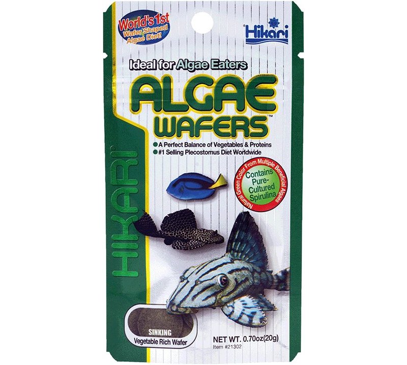 Hikari Tropical Algae Wafers 82g alimento vegetale in wafer affondanti per pesci da fondo