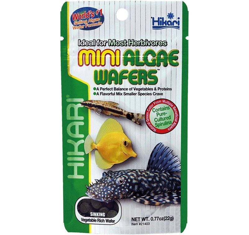 Hikari Tropical Mini Algae Wafers 85g alimento vegetale in wafer affondanti per pesci da fondo