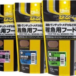 Hikari Plankton Early 400g mangime fine per avannotti e piccoli pesci