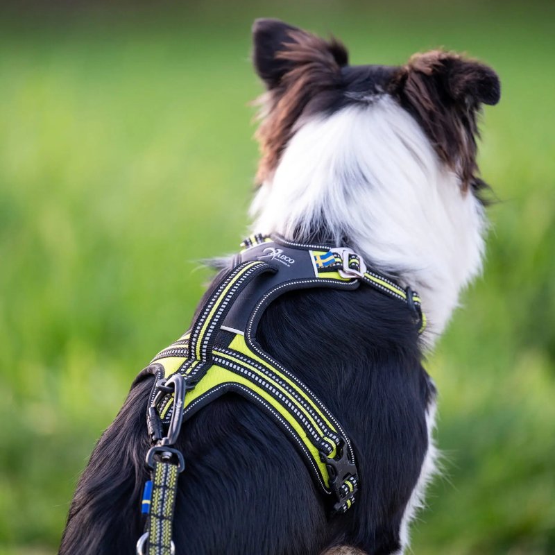 Axaeco 4 Season Fit Harness pettorina svedese
