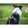 Axaeco 4 Season Fit Harness pettorina svedese