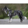 Axaeco 4 Season Fit Harness pettorina svedese
