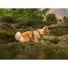 Axaeco 4 Season Fit Harness pettorina svedese