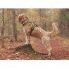 Axaeco 4 Season Fit Harness pettorina svedese