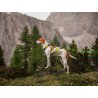 Axaeco X Run imbracatura per canicross