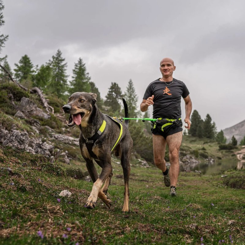 Axaeco X Run imbracatura per canicross