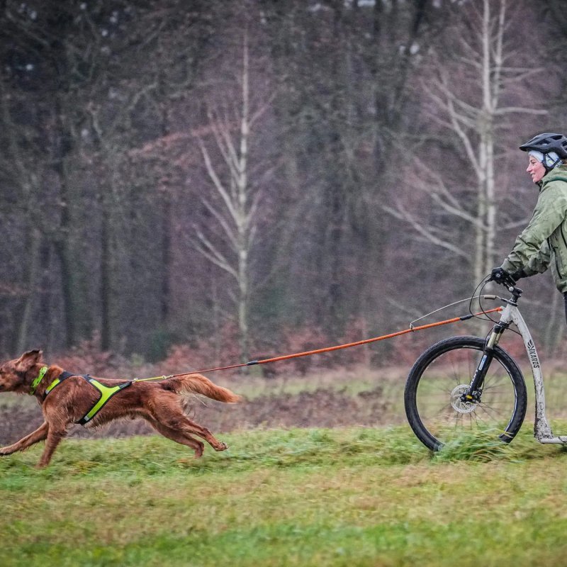 Axaeco X Run imbracatura per canicross