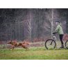 Axaeco X Run imbracatura per canicross