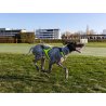 Axaeco X Run imbracatura per canicross