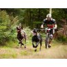 Axaeco X Run imbracatura per canicross