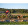 Axaeco X Run imbracatura per canicross
