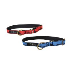 Axaeco Collare Sleddog
