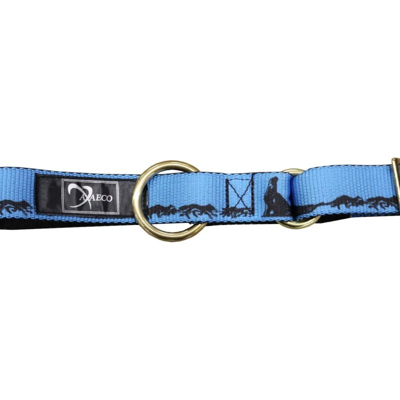 Axaeco Collare Sleddog