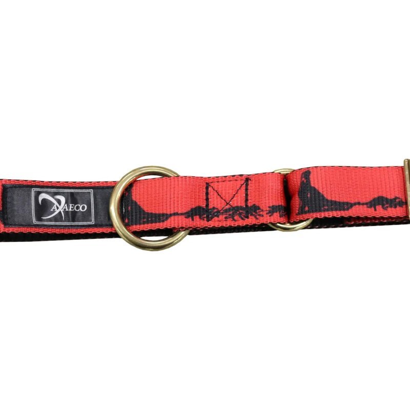 Axaeco Collare Sleddog