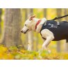 Axaeco Collare Sleddog