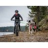 Axaeco Collare Sleddog