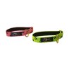 Axaeco Collare Sleddog Reflex