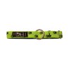 Axaeco Collare Sleddog Reflex