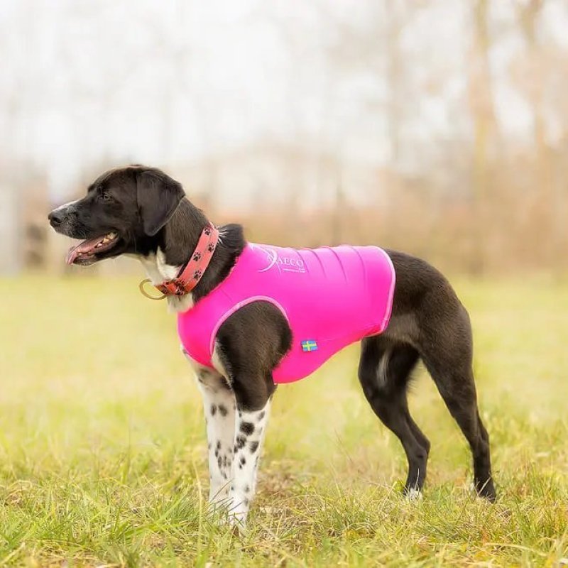 Axaeco Collare Sleddog Reflex