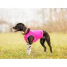 Axaeco Collare Sleddog Reflex