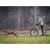 Axaeco Collare Sleddog Reflex