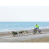 Axaeco Collare Sleddog Reflex