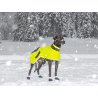 Axaeco Collare Sleddog Reflex