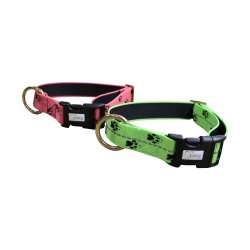 Axaeco Collare Sleddog Reflex Click