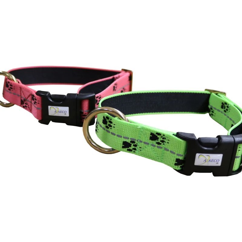 Axaeco Collare Sleddog Reflex Click