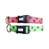 Axaeco Collare Sleddog Reflex Click