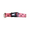 Axaeco Collare Sleddog Reflex Click