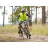 Axaeco Collare Sleddog Reflex Click