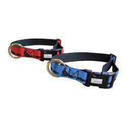 Axaeco Collare Sleddog Click