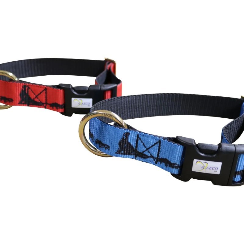 Axaeco Collare Sleddog Click