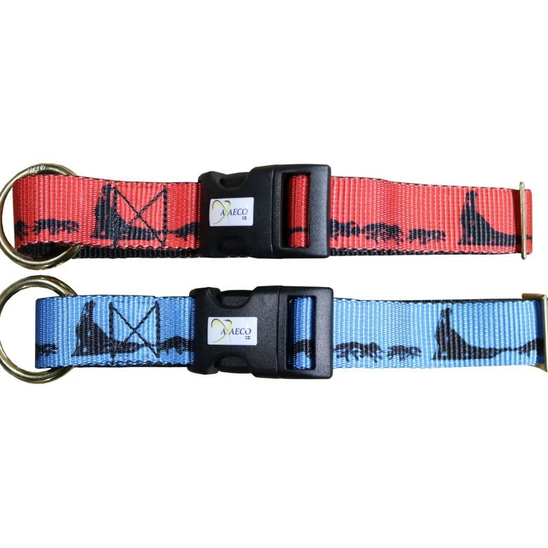 Axaeco Collare Sleddog Click