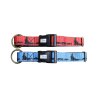 Axaeco Collare Sleddog Click