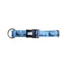 Axaeco Collare Sleddog Click