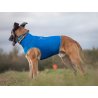 Axaeco Collare Sleddog Click
