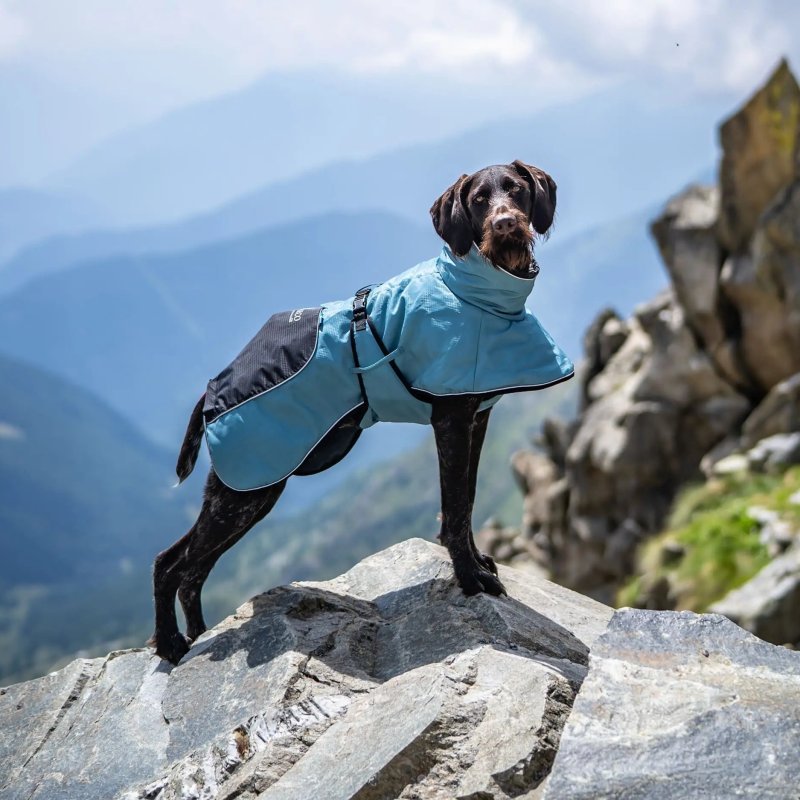 Axaeco Lapland cappottino invernale per cane