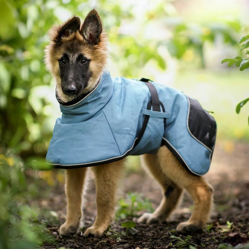Axaeco Lapland cappottino invernale per cane