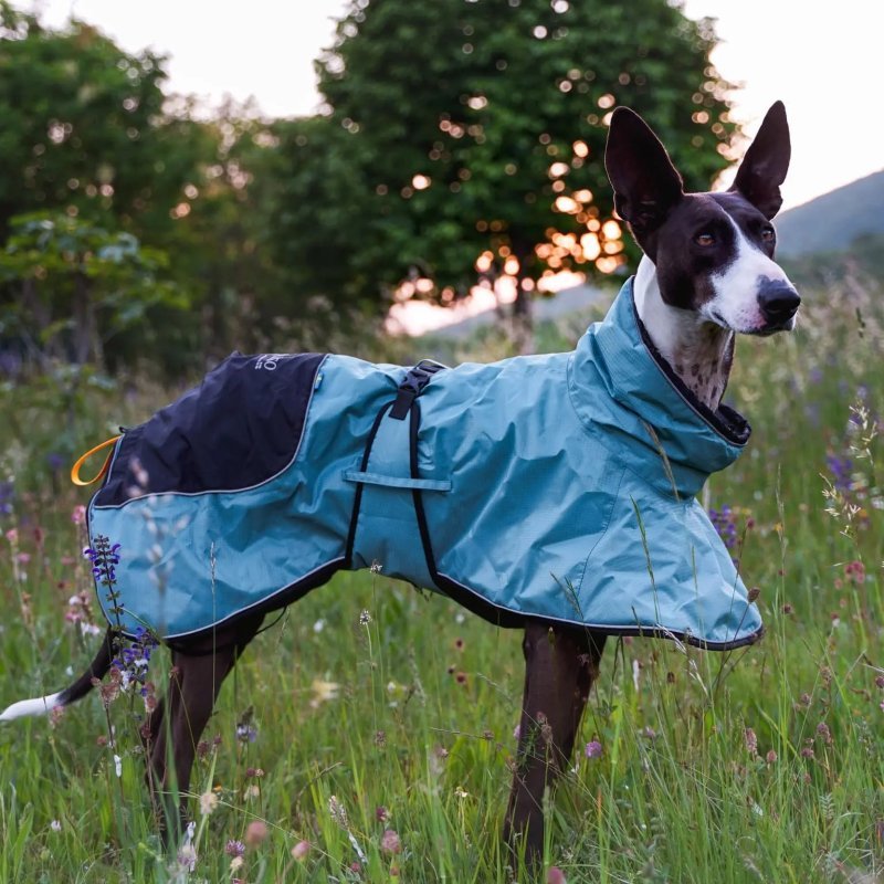 Axaeco Lapland cappottino invernale per cane