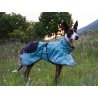 Axaeco Lapland cappottino invernale per cane