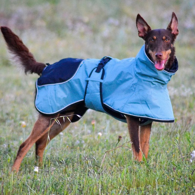 Axaeco Lapland cappottino invernale per cane